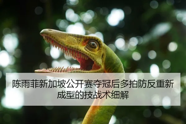 陈雨菲新加坡公开赛夺冠后多拍防反重新成型的技战术细解