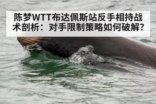 陈梦WTT布达佩斯站反手相持战术剖析:对手限制策略如何破解?