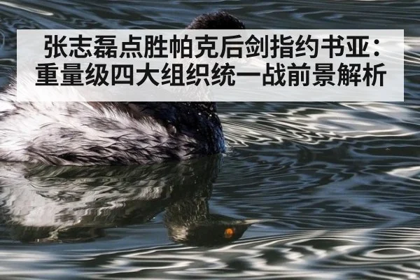 张志磊点胜帕克后剑指约书亚:重量级四大组织统一战前景解析